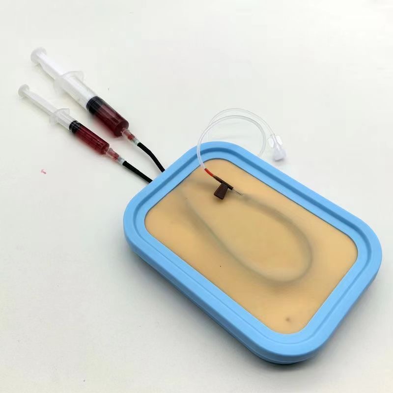静脈穿刺トレーニングキット シリコン製静脈採血練習モジュール - Tools Youtube のレビューと価格